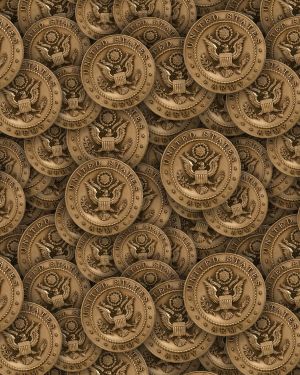 Army Medallion 24