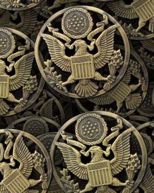 Army Medallion 42