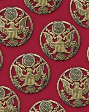 Army Medallion 44