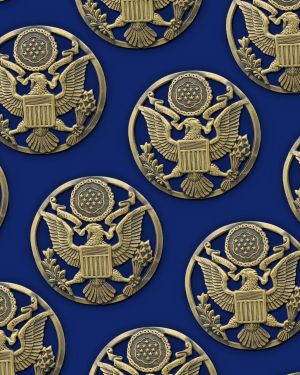 Army Medallion 45