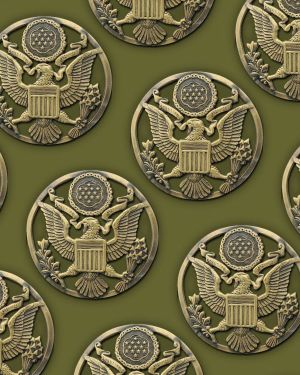 Army Medallion 46
