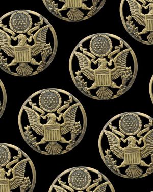 Army Medallion 48