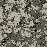 Army-Variegated-22-Camo.jpg
