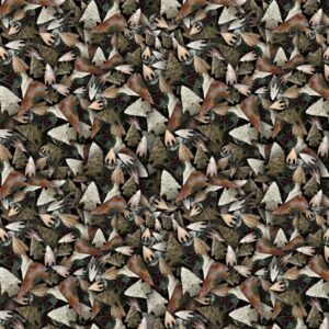 Arrowheads 22