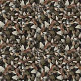 Arrowheads-22.jpg