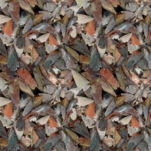 Arrowheads 23