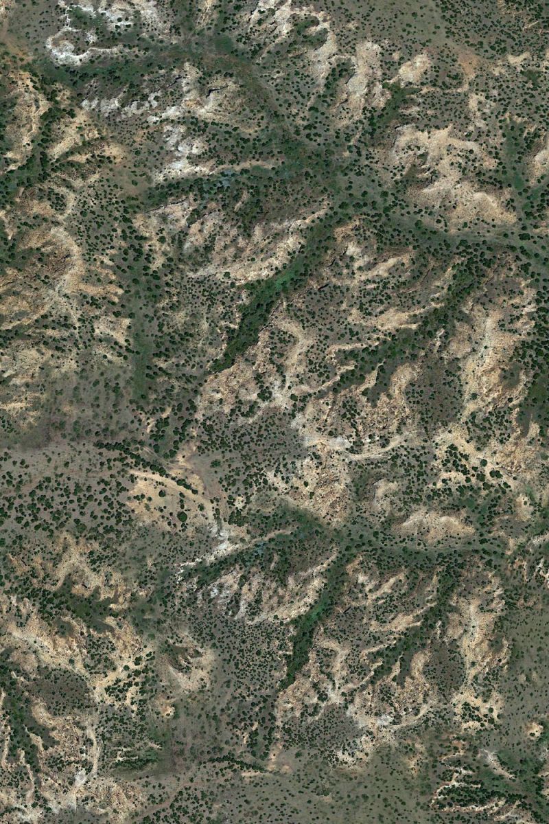 Arroyo Scrub 22 Camouflage