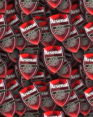 Arsenal FC 23