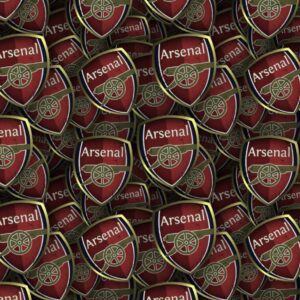 Arsenal FC 24