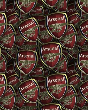 Arsenal FC 24