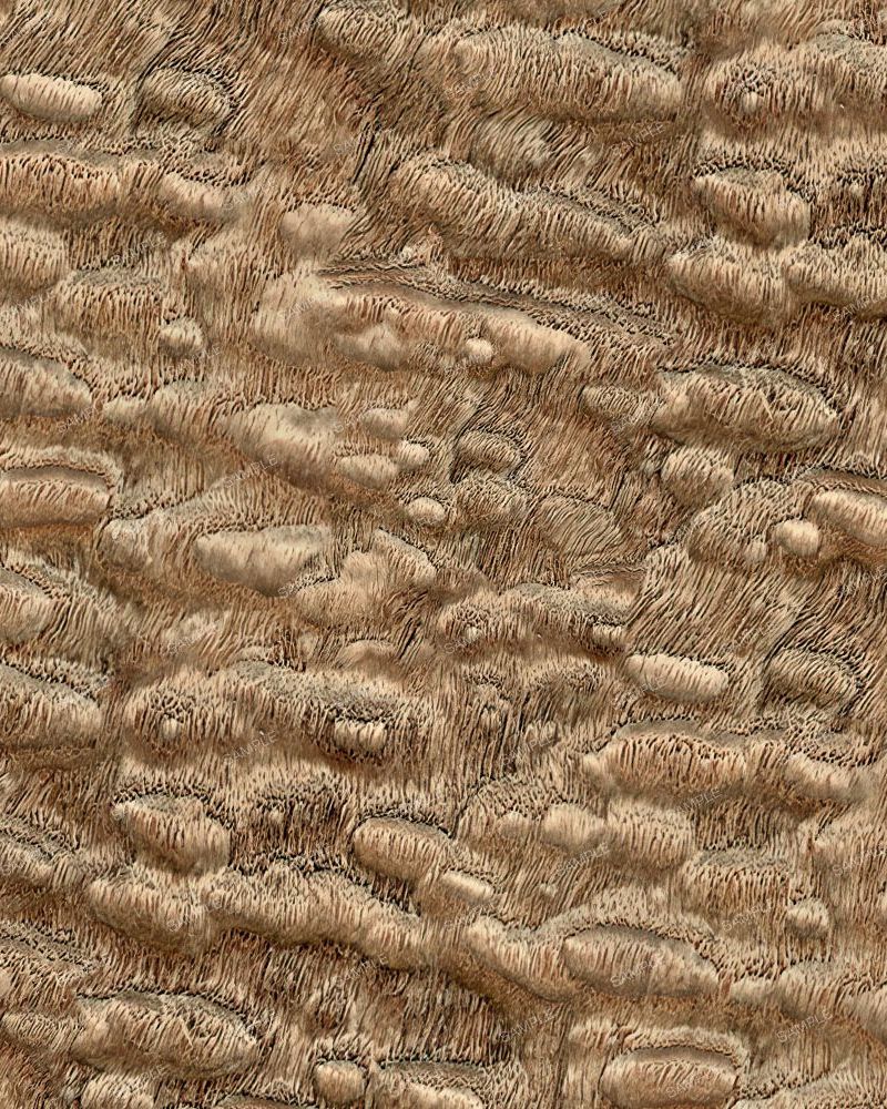 Ash Burl 42