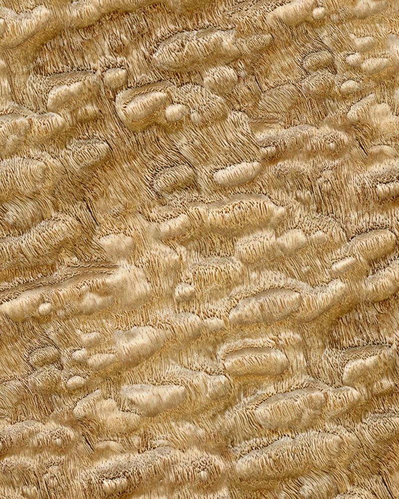 Ash Burl 43