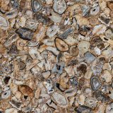 Athena-Gold-Agate-Composite.jpg
