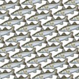 Atlantic-Snook-22.jpg