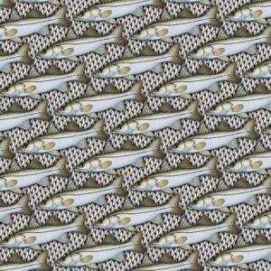 Atlantic Snook Scales