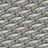 Atlantic-Snook-Scales.jpg