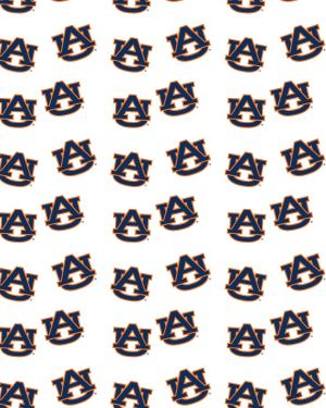 Auburn University 23