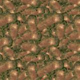 Australia-23-Camo.jpg