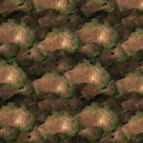 Australia-24-Camo.jpg