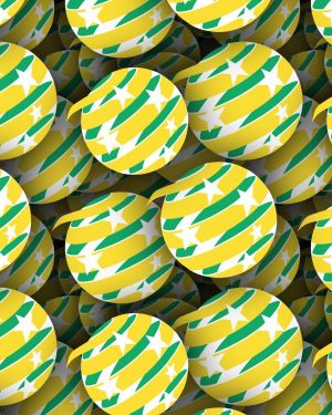 Australian National Soccer Team