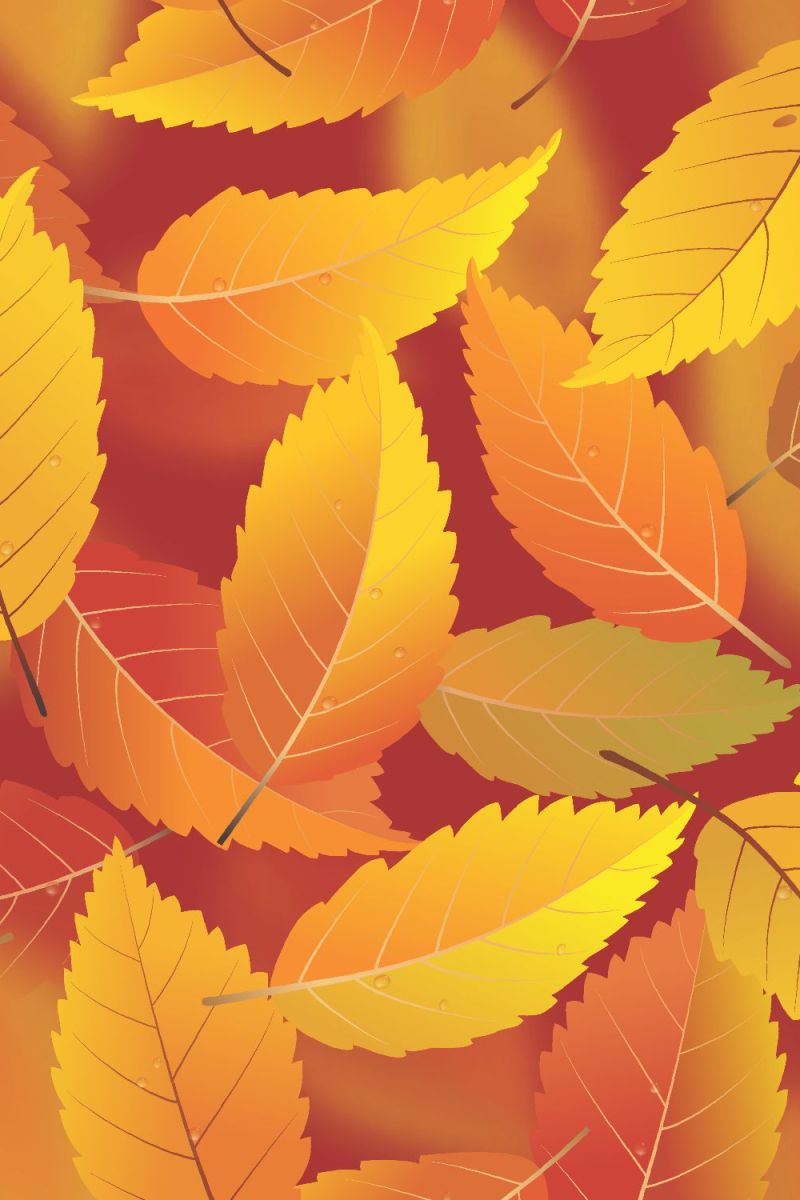 Autumn Cartoon Leaves