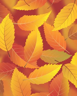 Autumn Cartoon Leaves