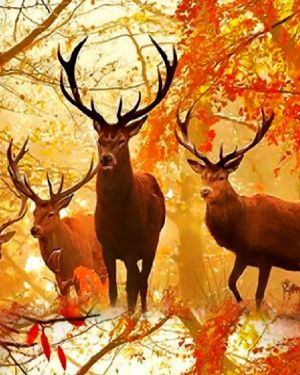 Autumn Deer