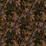 Autumn-Juniper-Berries.jpg