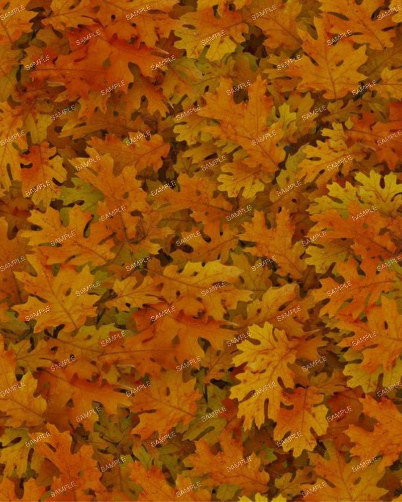 Autumn Leaves 25