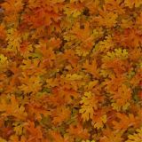 Autumn-Leaves-25-1.jpg