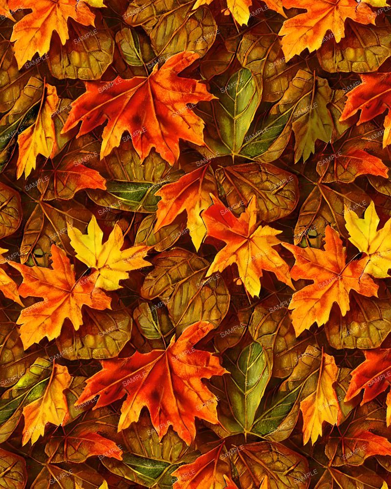 Autumn Leaves 44