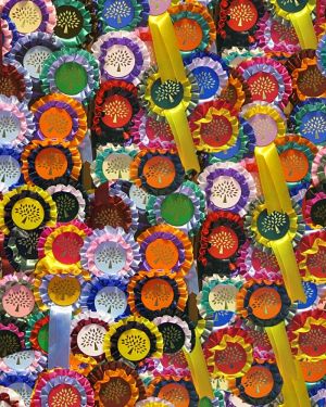 Award Ribbons