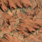 Ayers-Rock-22-Camo.jpg