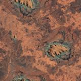 Ayers-Rock-25-Camo.jpg