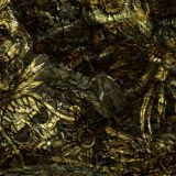 Aztec-Camo.jpg
