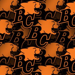 BC Lions 22