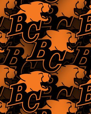 BC Lions 22
