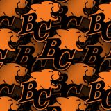 BC-Lions-22.jpg