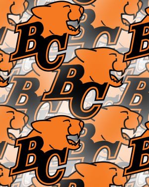 BC Lions 23