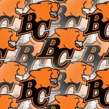 BC-Lions-23.jpg
