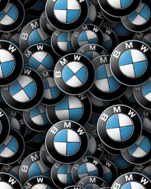BMW 23