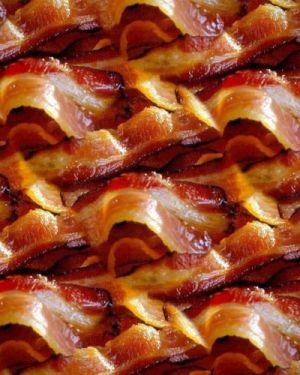 Bacon 22