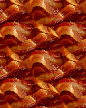 Bacon 23