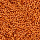 Baked-Beans-22.jpg
