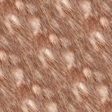 Bambi-Fur-thumb-1.jpg