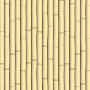 Bamboo 22