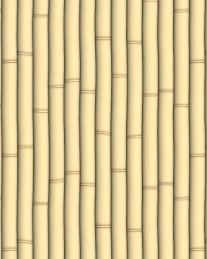 Bamboo 22