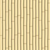 Bamboo-22.jpg