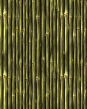 Bamboo 24