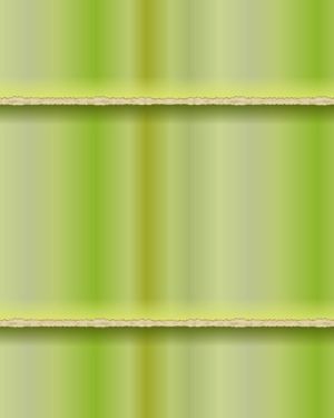 Bamboo 26